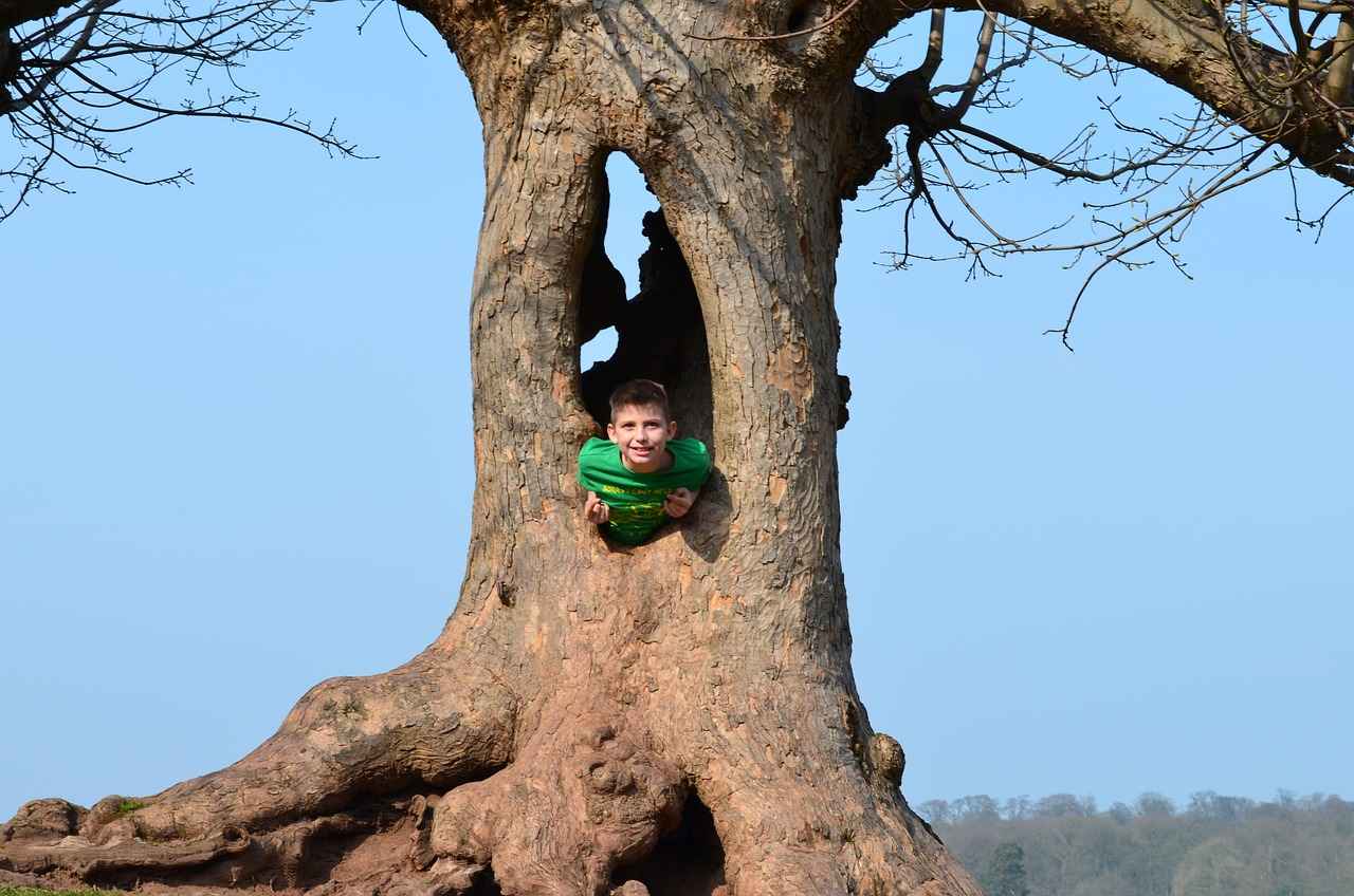 Create Custom T-Shirts with Your Own Text: A Simple Guide 4 Color Theory in T-Shirt Design